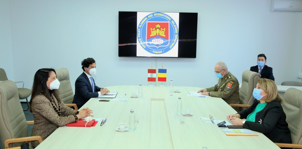 Întrevederea secretarului de stat pentru politica de apărare, planificare și relații internaționale cu ambasadorul Republicii Peru