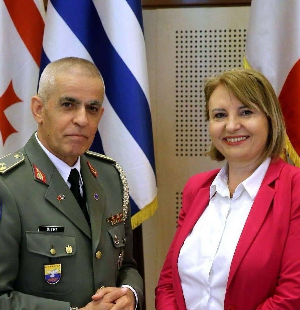 Reuniunile Comitetului director politico-militar și Comitetului de coordonare din cadrul SEDM