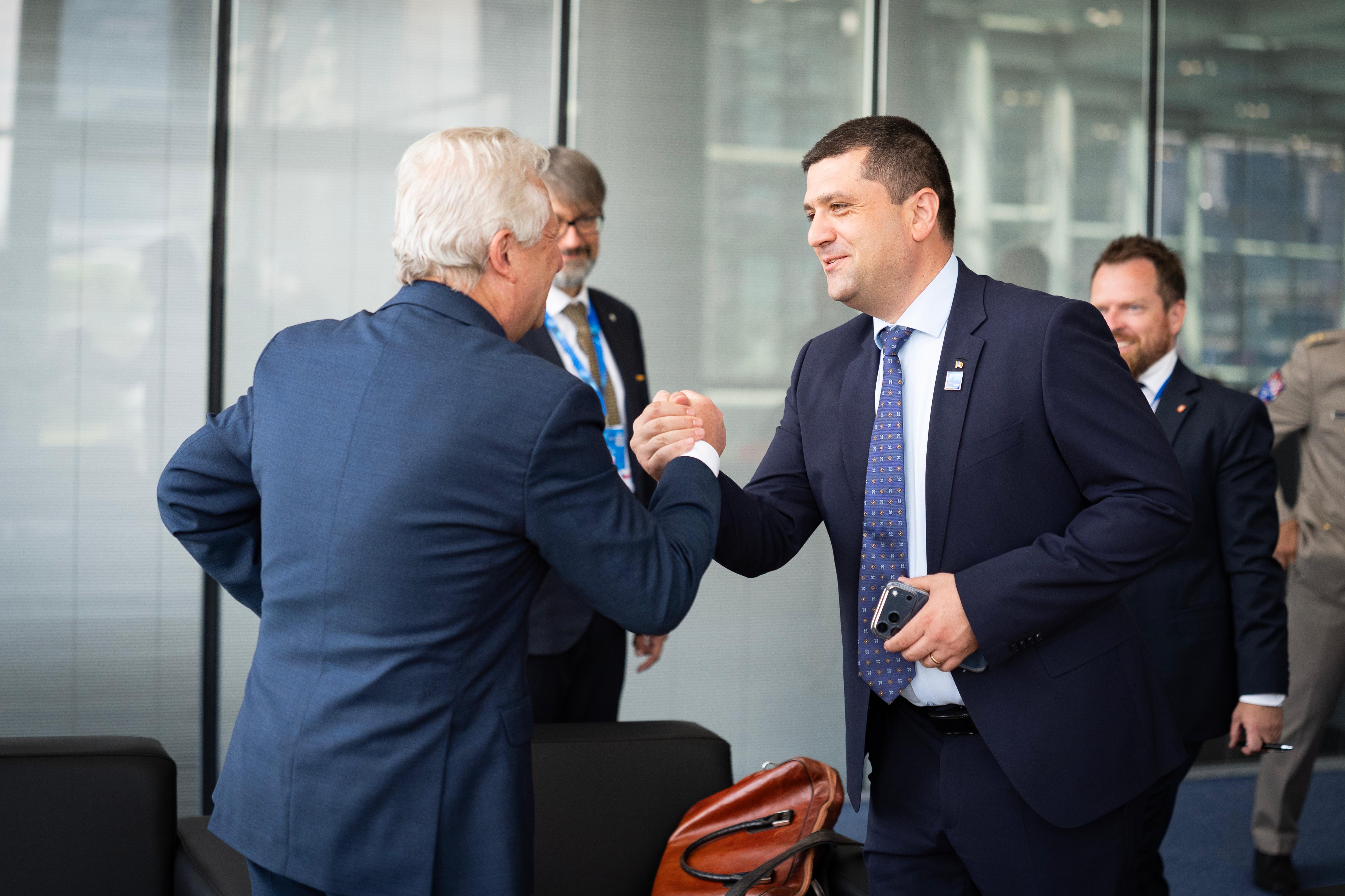 Ministrul apărării naționale, întrevedere cu omologul ceh, în marja Summitului NATO de la Ankara